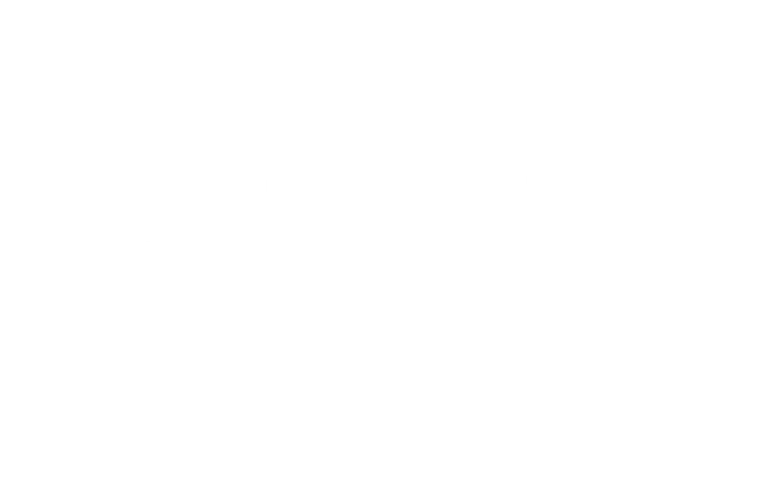 Alnaseem